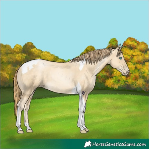 Horse Color:Sable Cream Champagne Pearl Tobiano Rabicano 
