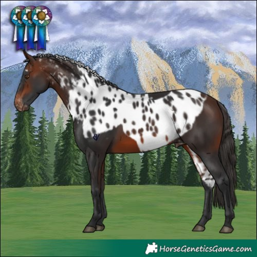 Horse Color:Brown Skewed LP Spotted