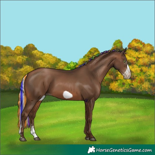 Horse Color:Gray Painted Silver Brown Pearl Sabino Frame