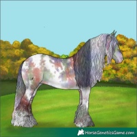 Horse Color:Nacre White Spotted Brown Dun Snowflake Varnish Brindle