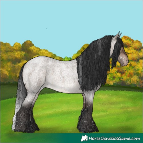 Horse Color:Brown Roan Dun Appaloosa Brindle