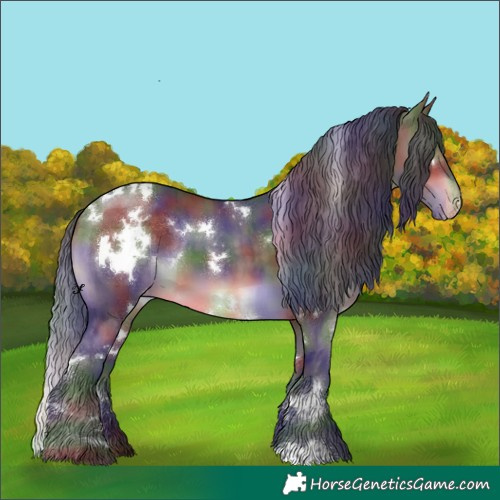 Horse Color:Nacre White Spotted Brown Dun Appaloosa Brindle 