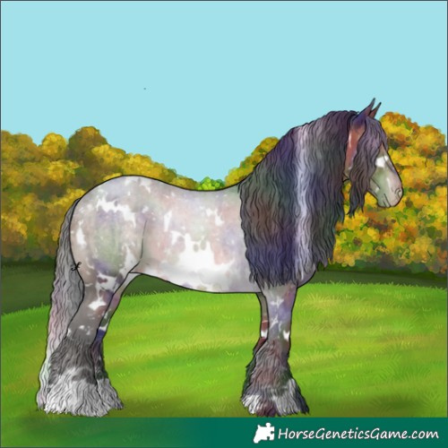 Horse Color:Nacre White Spotted Brown Dun Appaloosa Brindle