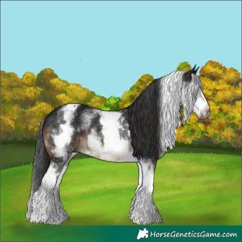 Horse Color:Gray White Spotted Brown Tobiano Rabicano