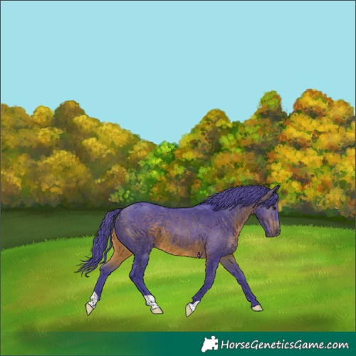 Horse Color:Watercolor Brown 