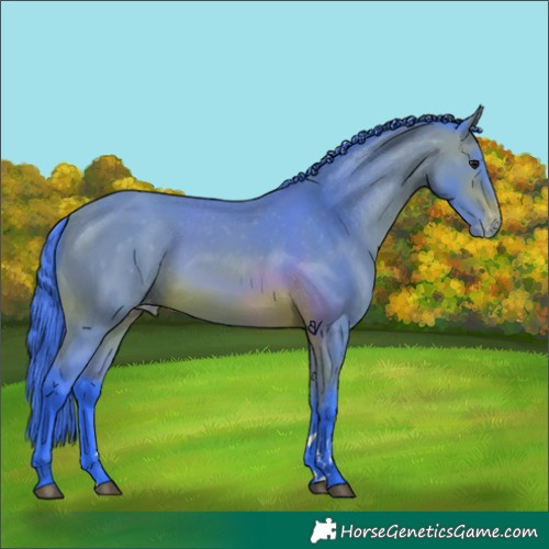 Horse Color:Watercolor Bay Appaloosa 