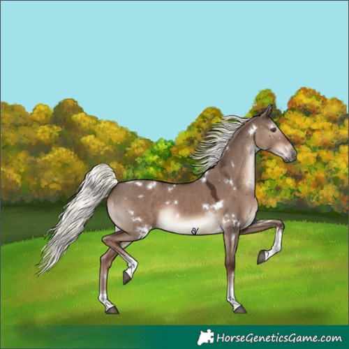 Horse Color:White Spotted Liver Red Dun Mushroom Tobiano Rabicano