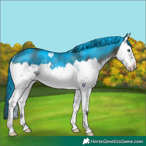 Horse Color:Brown Splash Rabicano