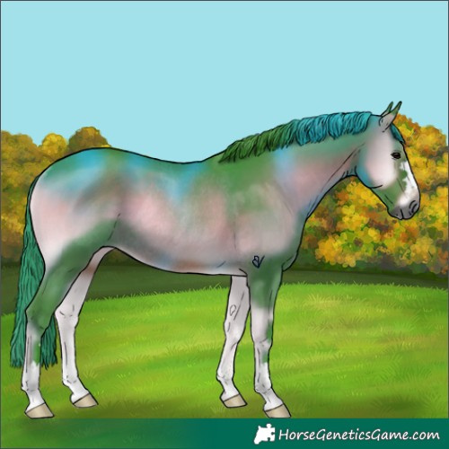 Horse Color:Gray Watercolor Brown Onyx Rabicano 