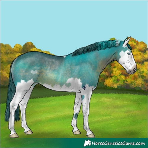 Horse Color:Gray Watercolor Brown Splash Rabicano