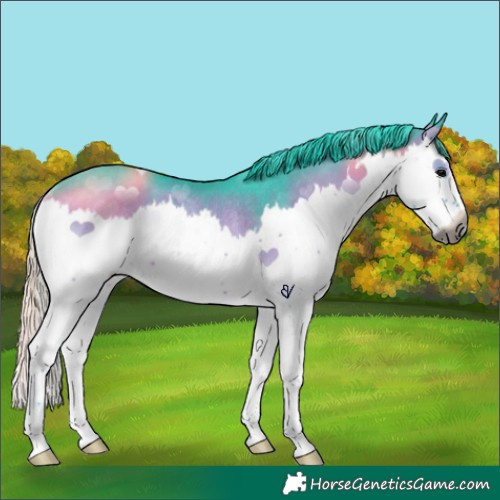 Horse Color:Gray Watercolor Brown Onyx Splash Rabicano 