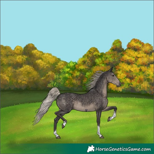 Horse Color:Silver Smoky Black Tobiano Rabicano