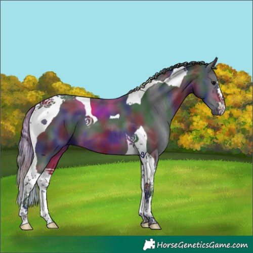 Horse Color:Nacre Brown Tobiano