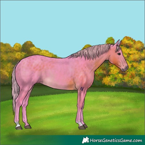 Horse Color:Watercolor Silver Smoky Black