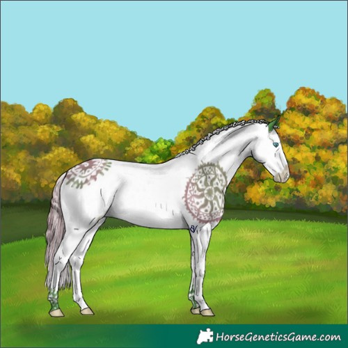 Horse Color:Watercolor Black Splash Appaloosa