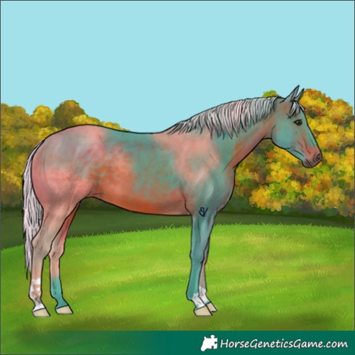 Horse Color:Watercolor Silver Brown 