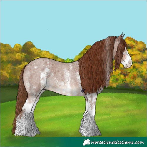 Horse Color:Red Roan Sabino 