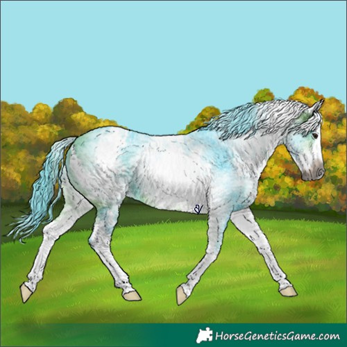 Horse Color:Gray Watercolor White Spotted Buckskin Splash