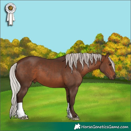 Horse Color:Silver Brown