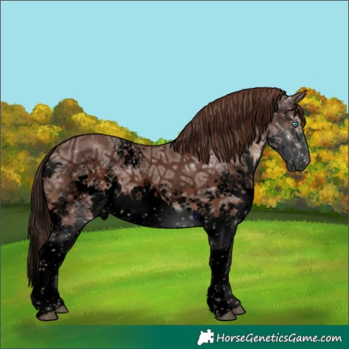 Horse Color:Void White Spotted Liver Chestnut Ice Splash 