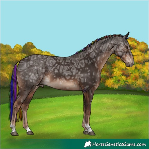 Horse Color:Painted Liver Chestnut Ice Tobiano 