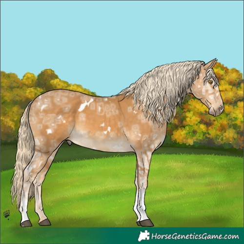 Horse Color:White Spotted Palomino Ice Sabino 