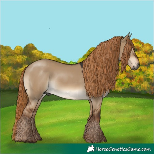 Horse Color:Gray Liver Red Dun