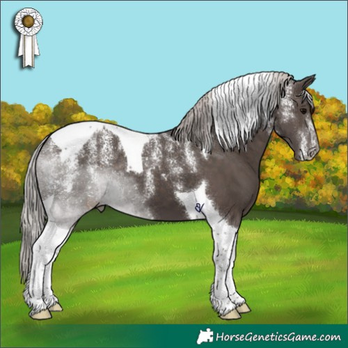 Horse Color:Powder White Silver Black Tobiano 