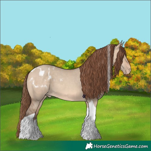 Horse Color:Amber Champagne Dun Tobiano Appaloosa