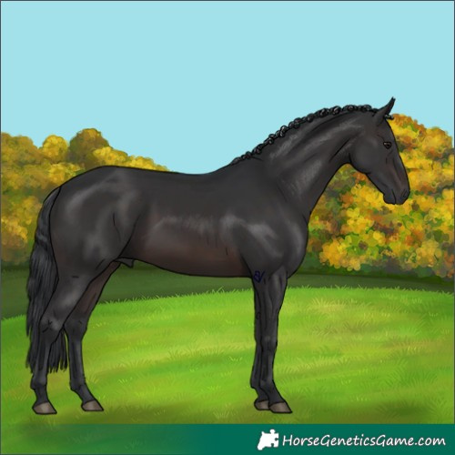 Horse Color:Brown 