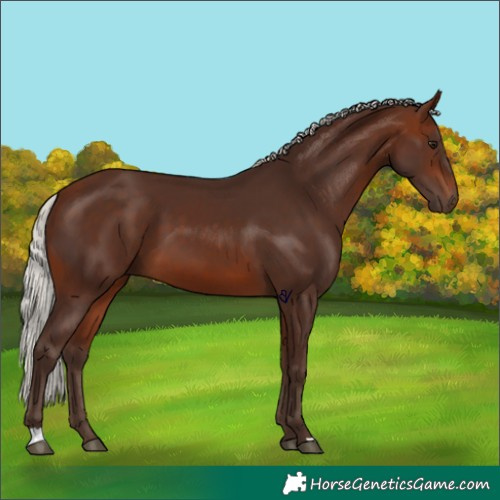 Horse Color:Silver Brown