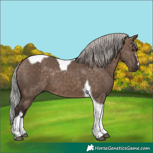 Horse Color:Silver Brown Dun Tobiano