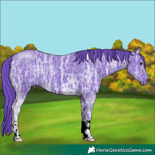 Horse Color:Watercolor Black Chinchilla Ice