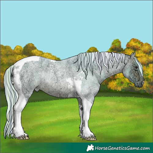 Horse Color:Painted Watercolor Silver Brown Ice Roan Tobiano Rabicano 