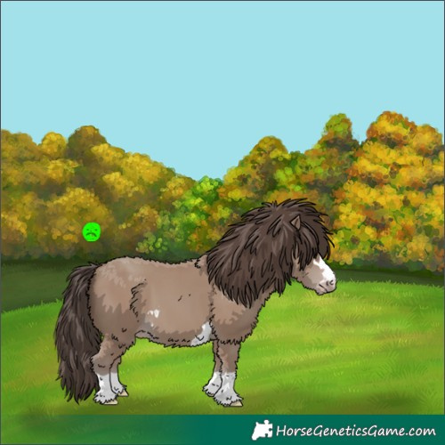Horse Color:Classic Champagne 