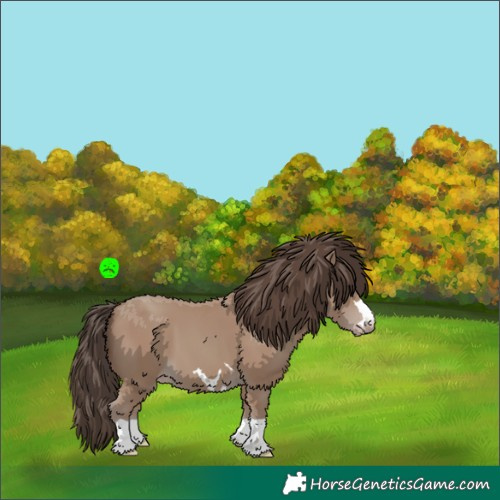 Horse Color:Classic Champagne 