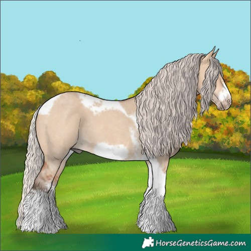 Horse Color:Silver Bay Dun Sabino Tobiano Frame Rabicano 