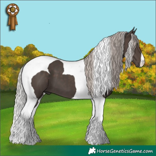 Horse Color:Silver Black Tobiano