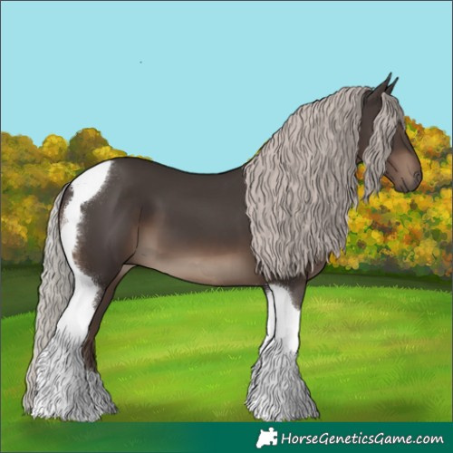 Horse Color:Silver Black Tobiano 