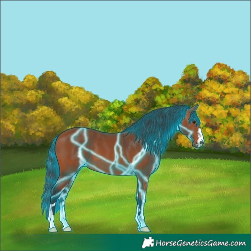 Horse Color:Thunderstruck Bay
