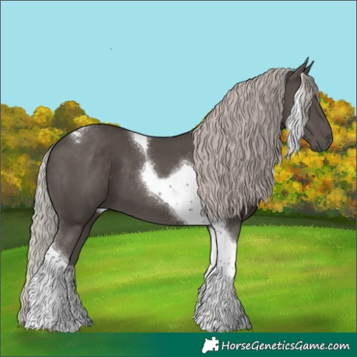 Horse Color:Silver Black Tobiano