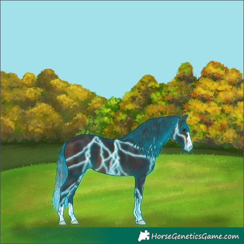 Horse Color:Thunderstruck Brown 