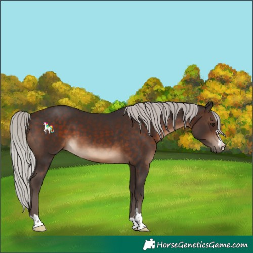 Horse Color:Silver Brown 