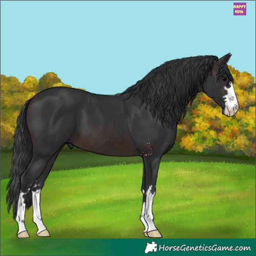 Horse Color:Brown 