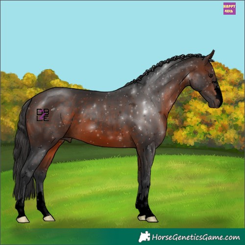 Horse Color:Void Brown 
