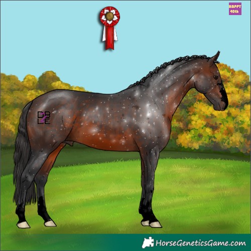 Horse Color:Void Brown 