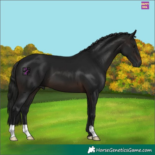 Horse Color:Gray Brown 
