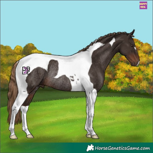 Horse Color:Liver Chestnut Tobiano Rabicano 