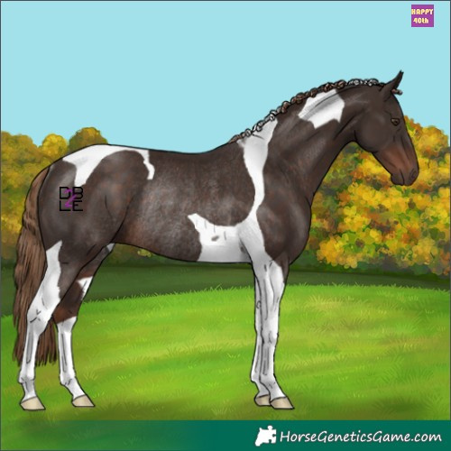 Horse Color:Liver Chestnut Tobiano Rabicano 