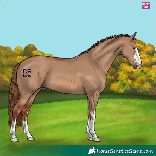 Horse Color:Red Dun 